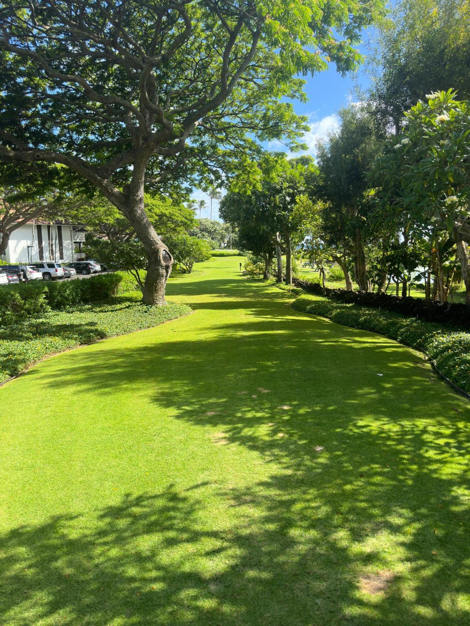 Kiahuna Paradise At Poipu Beach, Newly Remodeled Koloa Ngoại thất bức ảnh
